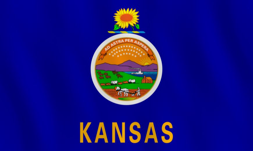 kansas flag
